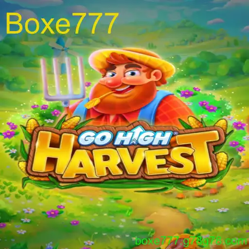 Descobrindo o Mundo Maravilhoso de GoHighHarvest